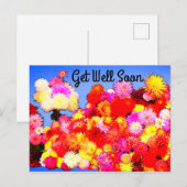 Beterschap Diverse Dahlias #2-2 Ansichtkaart Briefkaart (Voorkant / Achterkant)