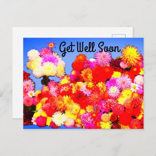 Beterschap Diverse Dahlias #2-2 Ansichtkaart Briefkaart (Voorkant / Achterkant)