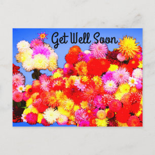 Beterschap Diverse Dahlias #2-2 Ansichtkaart Briefkaart