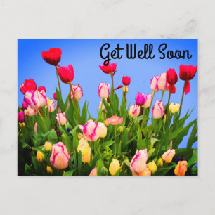Beterschap Diverse Tulpen #3 Ansichtkaart Briefkaart