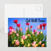 Beterschap Diverse Tulpen #3 Briefkaart (Voorkant / Achterkant)