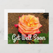 Beterschap Droom Komt Uit Roos #3 Ansichtkaart Briefkaart (Voorkant / Achterkant)