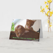 Beterschap Kaart (Gele Bloem)