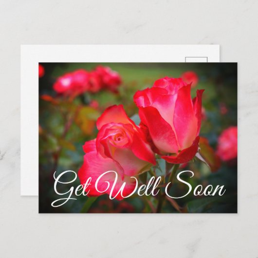 Beterschap Kersen Parfait Roos #4 Ansichtkaart Briefkaart (Voorkant / Achterkant)