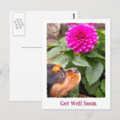 Beterschap Koning Charles Spaniel En Dahlia Briefkaart (Voorkant / Achterkant)
