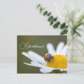 Beterschap met de liefste lieveboompes briefkaart (Staand voorkant)