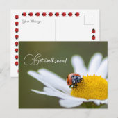 Beterschap met de liefste lieveboompes briefkaart (Voorkant / Achterkant)