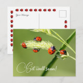 Beterschap met de liefste lieveboompjes briefkaart (Voorkant / Achterkant)