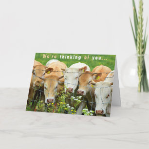 Beterschap Ranch Boerderij Vee Landelijke Bloemen Kaart