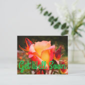 Beterschap Regenboog Sorbet Roos #1 Ansichtkaart Briefkaart (Staand voorkant)