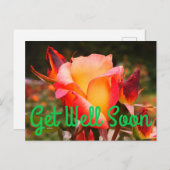 Beterschap Regenboog Sorbet Roos #1 Ansichtkaart Briefkaart (Voorkant / Achterkant)