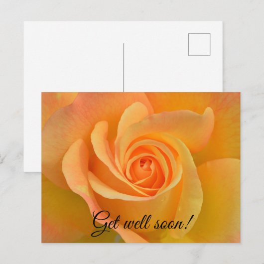 Beterschap roos briefkaart (Voorkant / Achterkant)