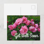 Beterschap Soon Gene Boerner Roos #2 Ansichtkaart Briefkaart (Voorkant / Achterkant)