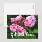 Beterschap Soon Gene Boerner Roos #3 Ansichtkaart Briefkaart (Voorkant / Achterkant)