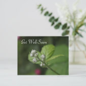 beterschap, zomer wilde frambozen bloem briefkaart (Staand voorkant)