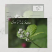 beterschap, zomer wilde frambozen bloem briefkaart (Voorkant / Achterkant)