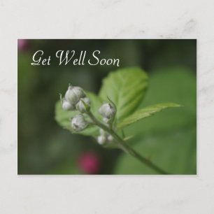 beterschap, zomer wilde frambozen bloem briefkaart