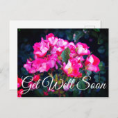 Beterschap Zorgeloze Geest Roos #1 Ansichtkaart Briefkaart (Voorkant / Achterkant)