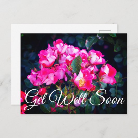 Beterschap Zorgeloze Geest Roos #1 Ansichtkaart Briefkaart (Voorkant / Achterkant)