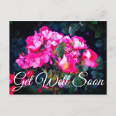 Beterschap Zorgeloze Geest Roos #1 Ansichtkaart Briefkaart (Voorkant)