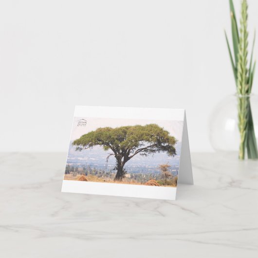 Beteseb Felega Black Note Kaart (Voorkant)