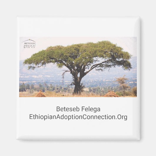 Beteseb Felega Kitchen Magnet (Voorkant)