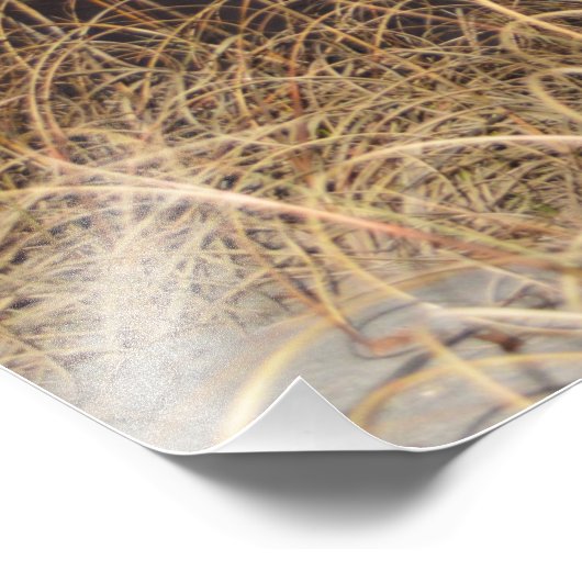 'Bethanne's Sunrise' Foto Afdruk (Hoek)