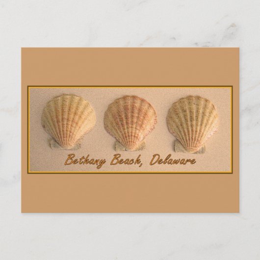 Bethany Beach, Delaware Briefkaart (Voorkant)