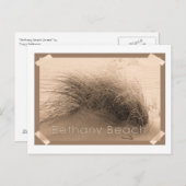 Bethany Grass Briefkaart (Voorkant / Achterkant)