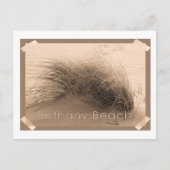 Bethany Grass Briefkaart (Voorkant)