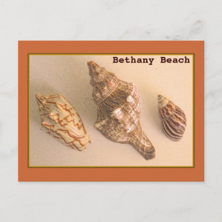 Bethany Shells Briefkaart