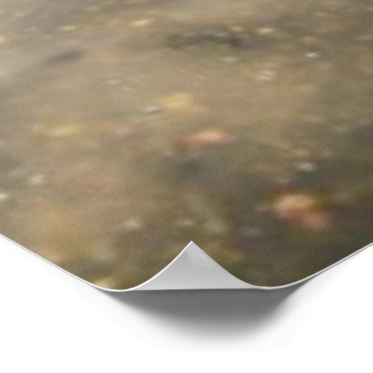 Bethesda-fontein Central Park Foto Poster (Hoek)