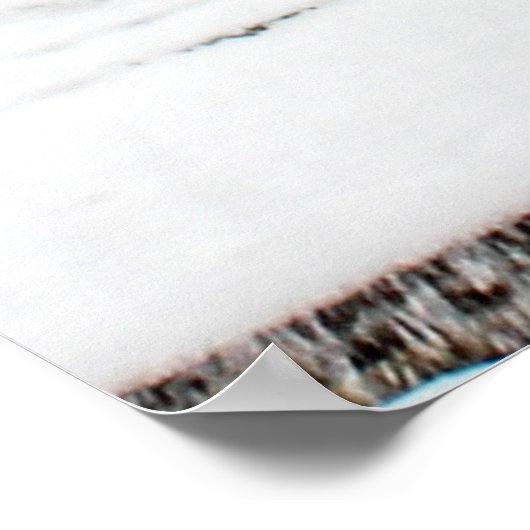 Bethesda-fontein Central Park Foto Poster (Hoek)