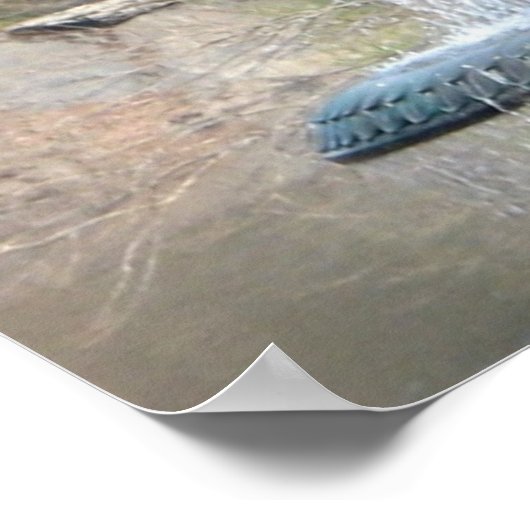 Bethesda Fountain Poster (Hoek)