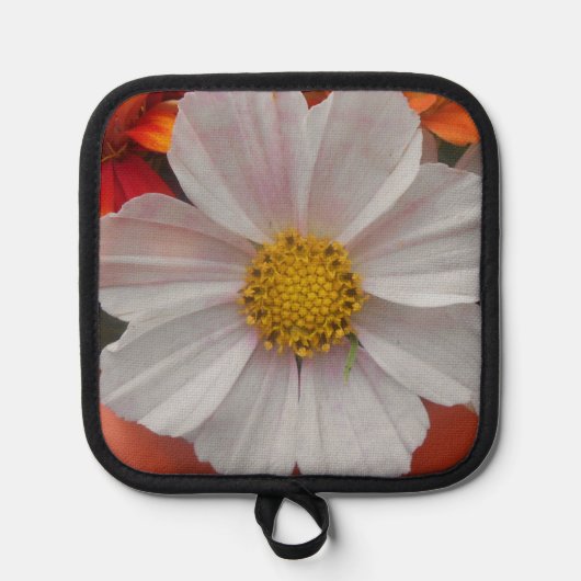 Bethune Pannenlap (Voorkant)