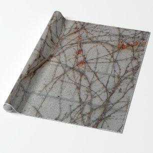 betonnen muur met wijnstokken cadeaupapier