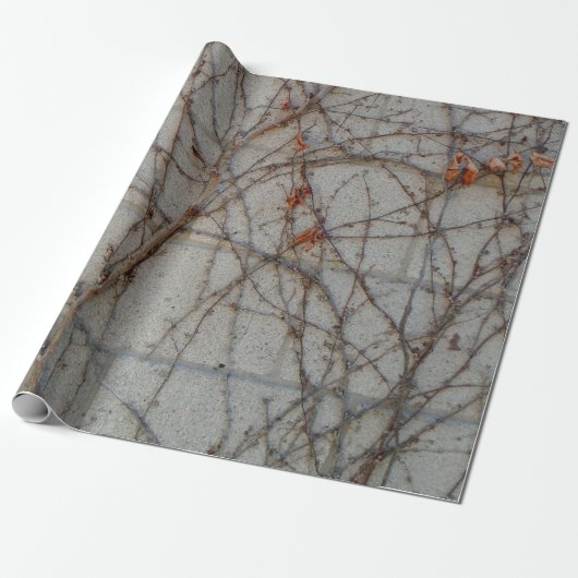 betonnen muur met wijnstokken cadeaupapier (Uitgerold)