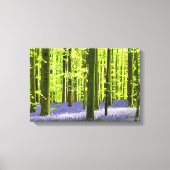 Betoverd Bluebell Woodland Canvas Afdruk (Voorkant)
