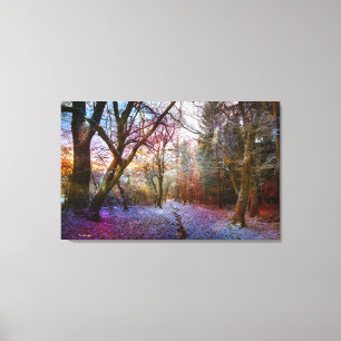 Betoverd Bos - Natuur Winterlandschap Canvas Afdruk