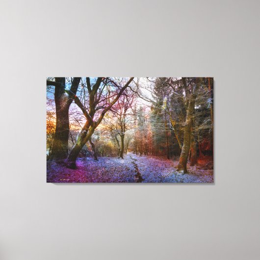 Betoverd Bos - Natuur Winterlandschap Canvas Afdruk (Voorkant)