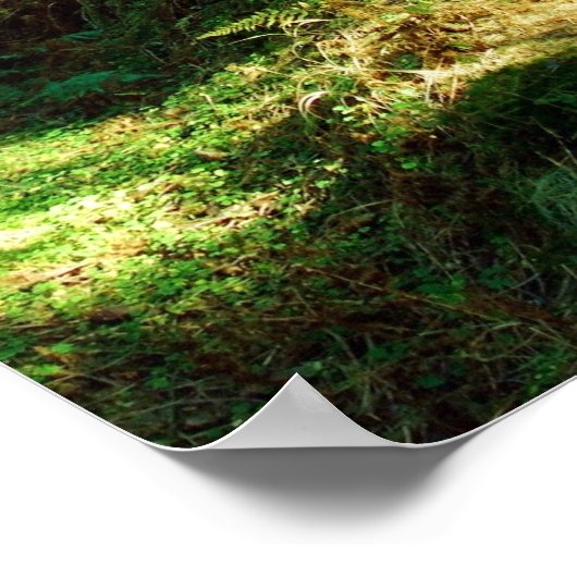 betoverd bos poster (Hoek)