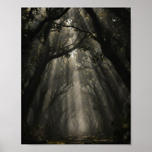 Betoverd Bospad: Eterisch Licht en Schaduwen Poster (Voorkant)