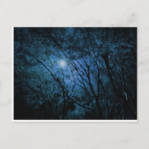betoverd donker bos briefkaart