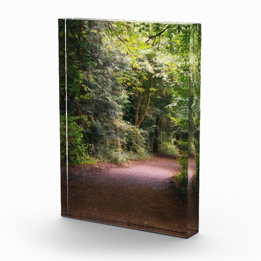 Betoverd Fotoblokken (Rechts)