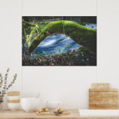 Betoverd magisch bos poster (Keuken)
