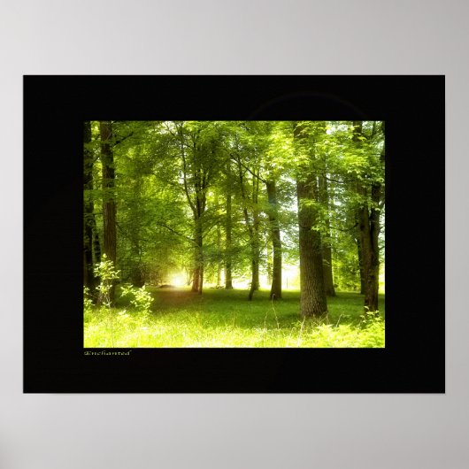 betoverd poster (Voorkant)