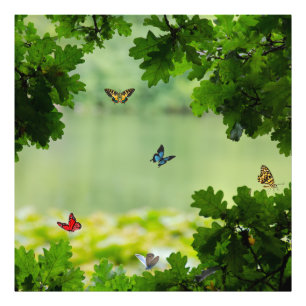 Betoverd Vlinderbos Foto Afdruk