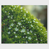 Betoverde Bos Mos Lente Cadeaupapier (Vlak)