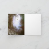 Betoverde boslandschap bedankt (Binnen)