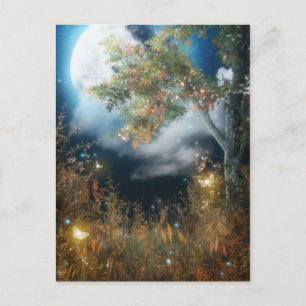 Betoverde bossen 12 ansichtkaart briefkaart